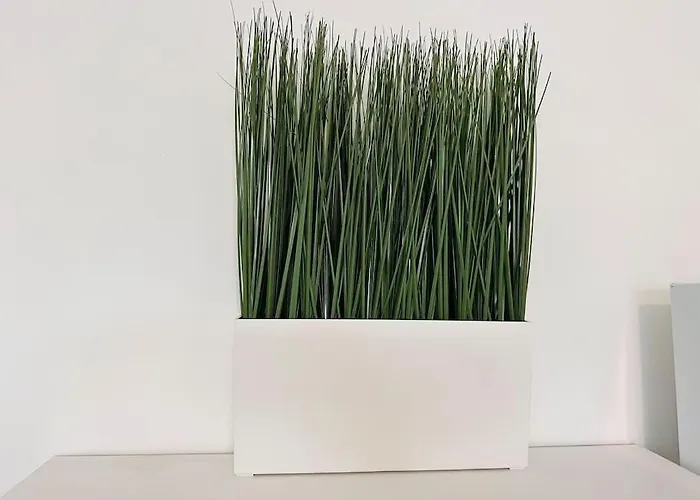 Le Gentil Rooftop Apartamento *